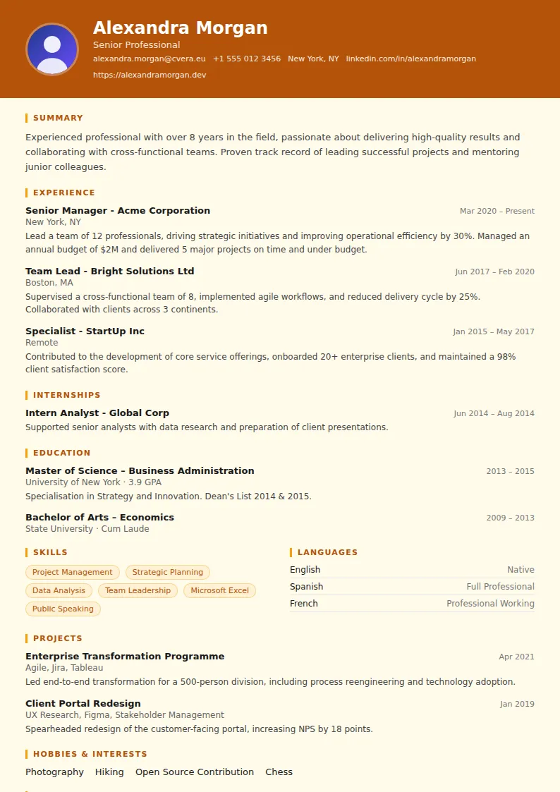 Construction CV Template