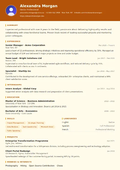 Construction CV Template