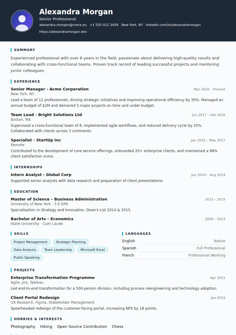 Consultant CV Template