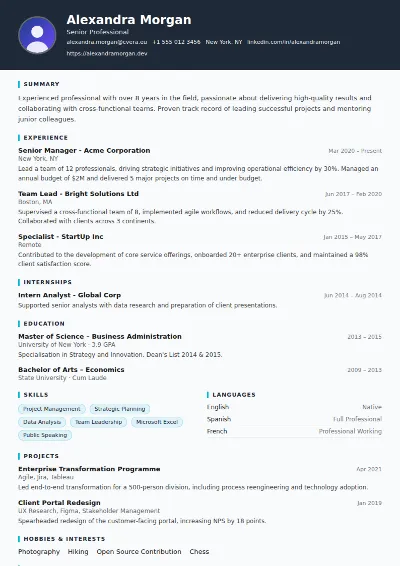 Consultant CV Template
