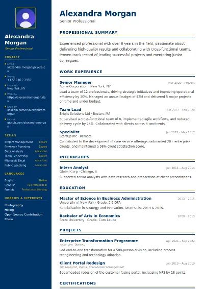 Corporate CV Template