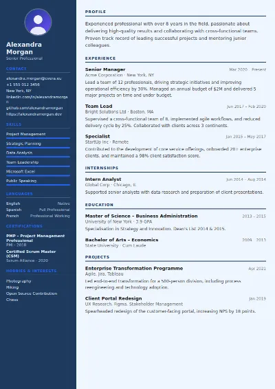 Economist CV Template