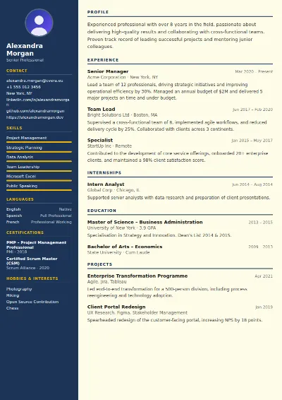 Electrician CV Template