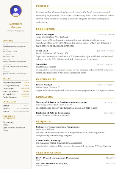 Elegant CV Template