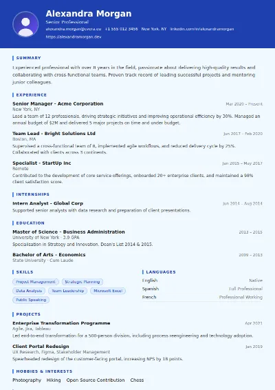 Financial Analyst CV Template