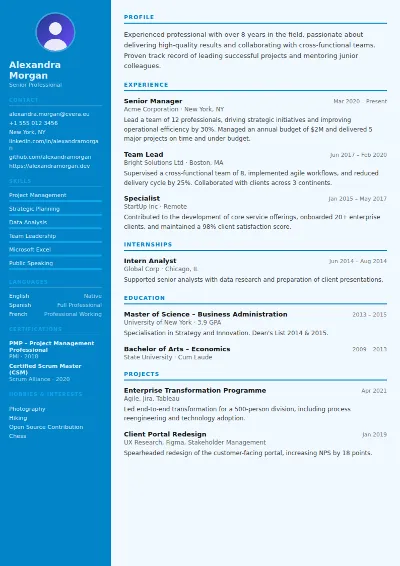 Flight Attendant CV Template