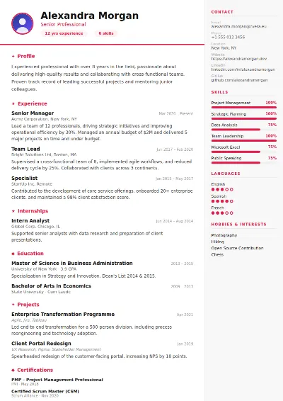 Infographic CV Template