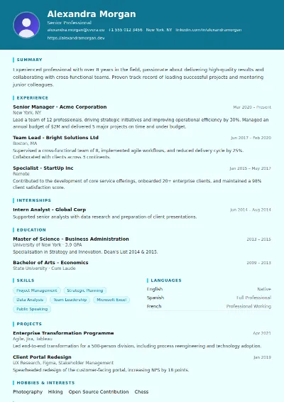 IT Support CV Template