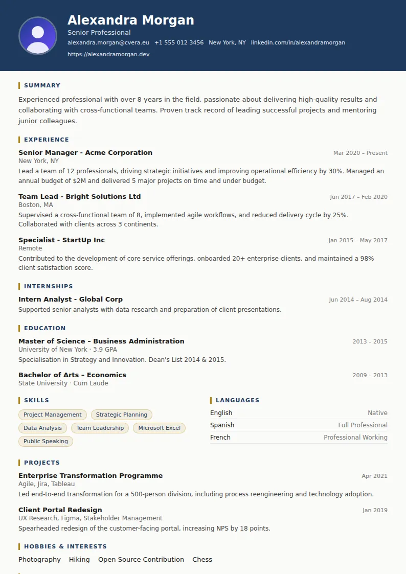Legal CV Template