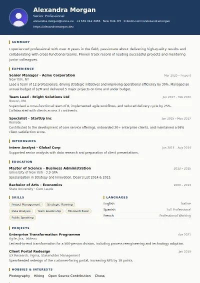 Legal CV Template