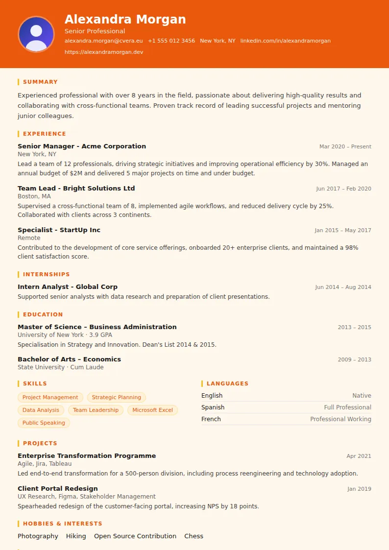 Marketing CV Template