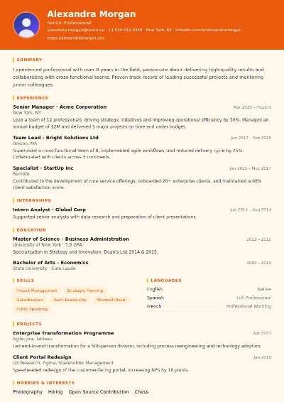 Marketing CV Template