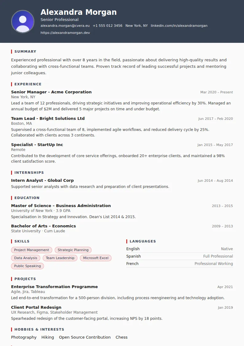 Mechanic CV Template
