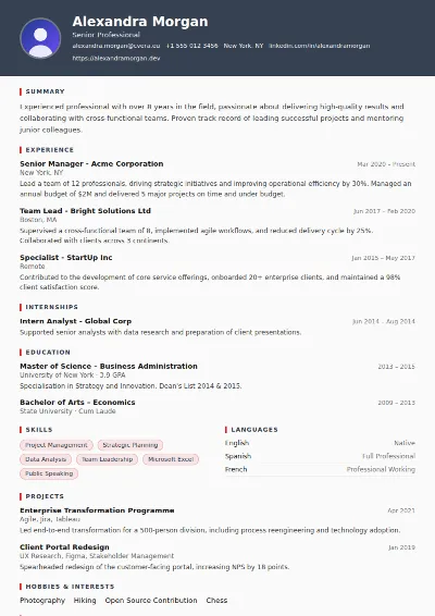 Mechanic CV Template