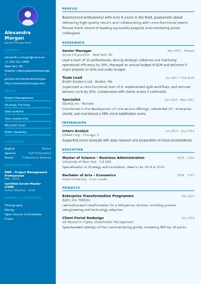 Medical CV Template