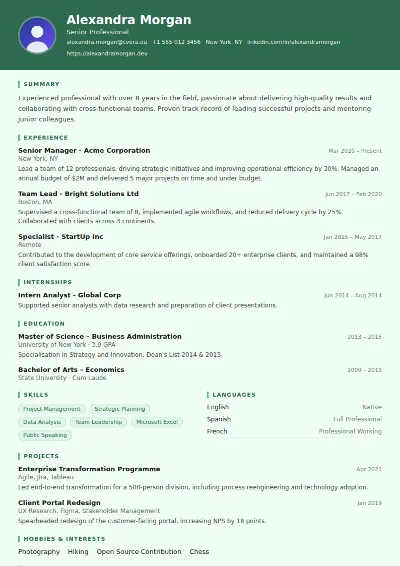 Nurse CV Template