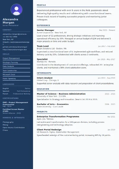 Police CV Template