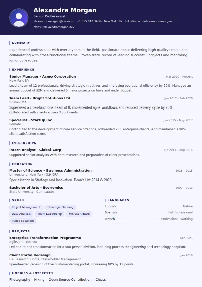 Professor CV Template
