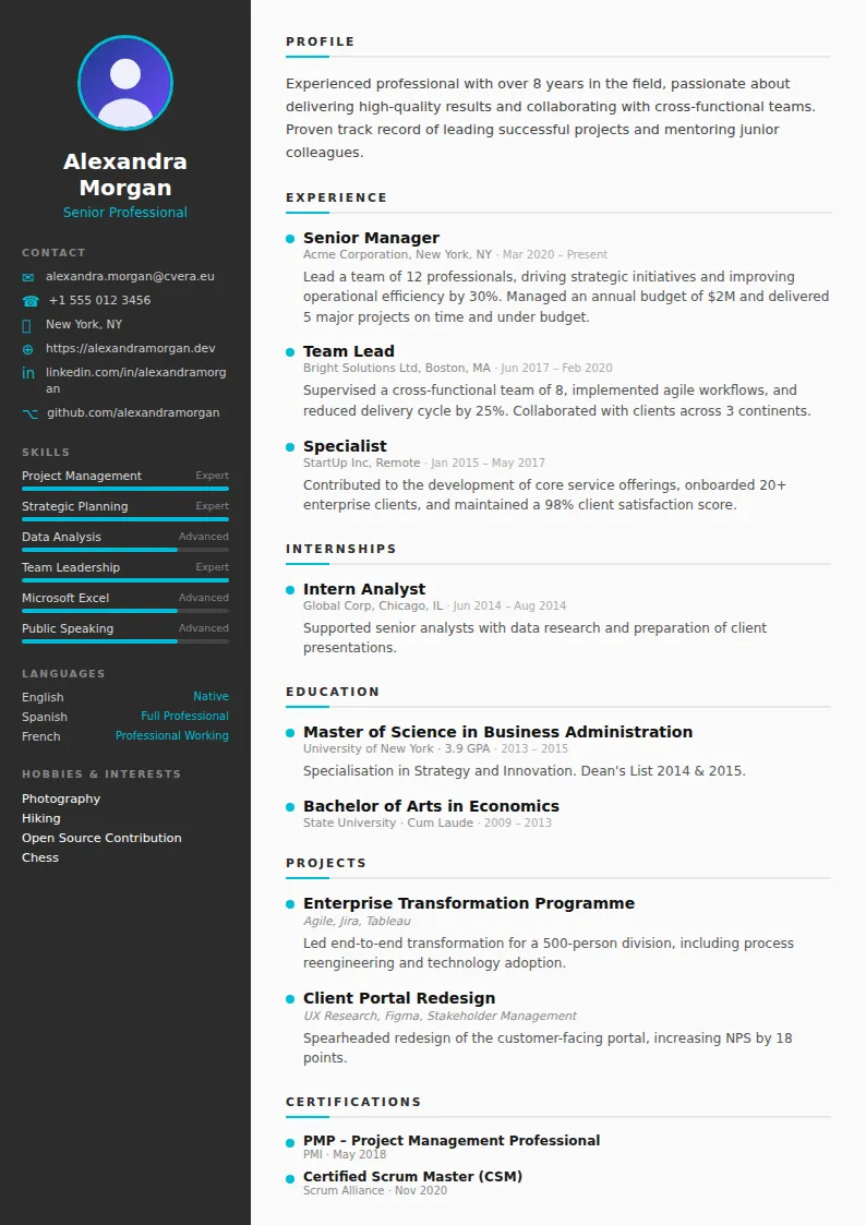 Sleek CV Template