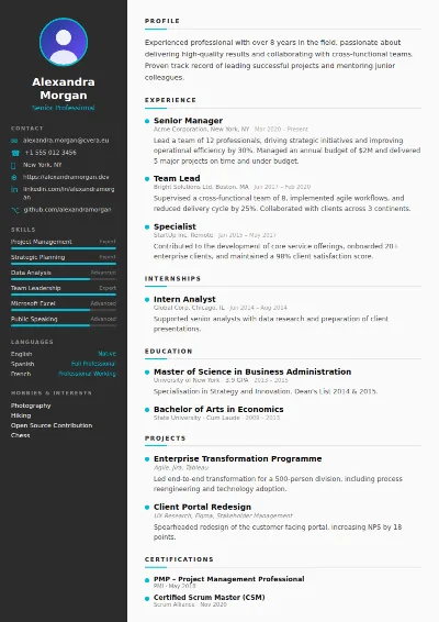 Sleek CV Template