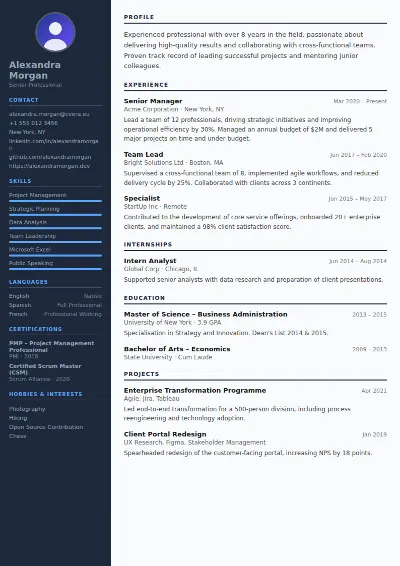 Software Engineer CV Template