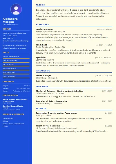 Teacher CV Template