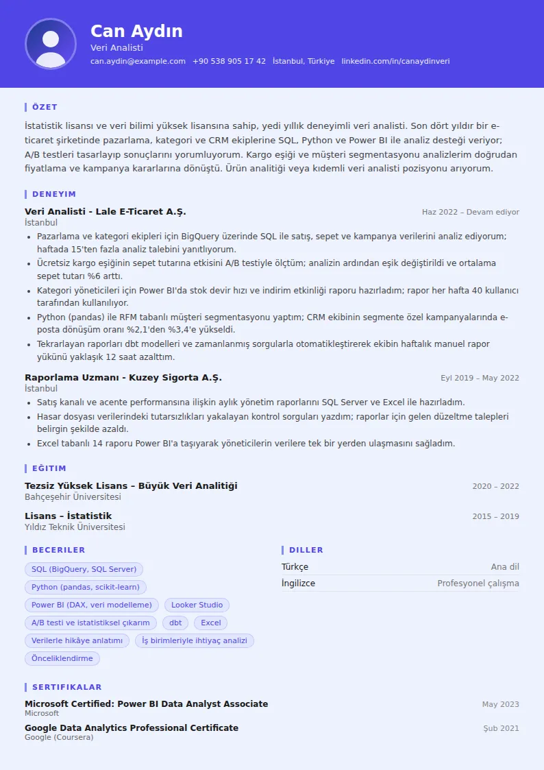 Veri Analisti CV Örneği
