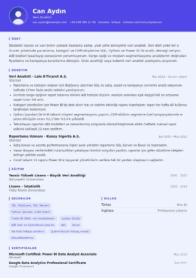 Veri Analisti CV Örneği