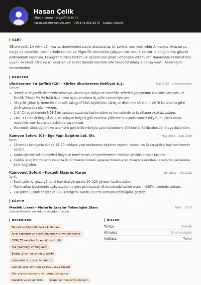 Tır Şoförü CV Örneği