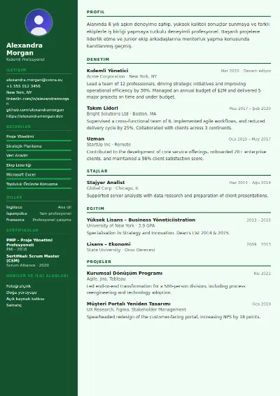 Accountant CV Şablonu