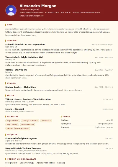 Attorney CV Şablonu