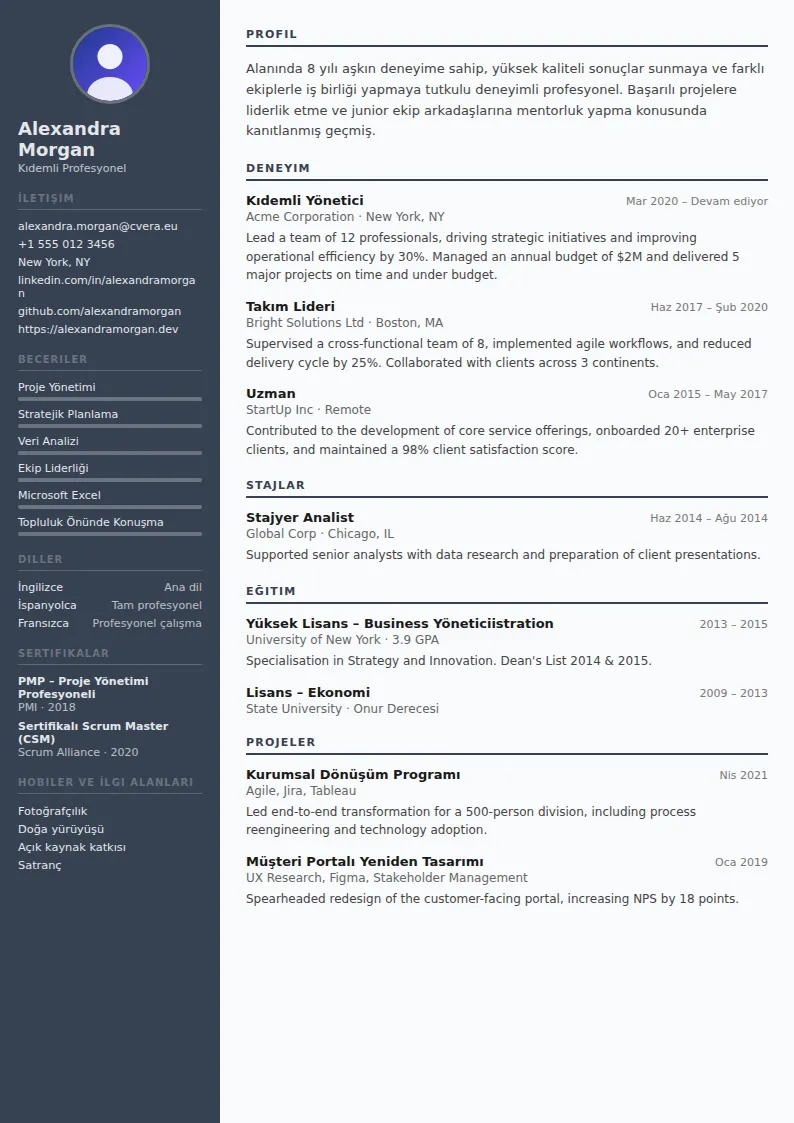 Auditor CV Şablonu