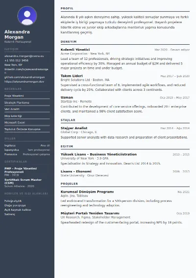 Auditor CV Şablonu