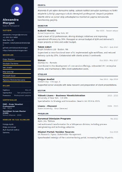 Banker CV Şablonu