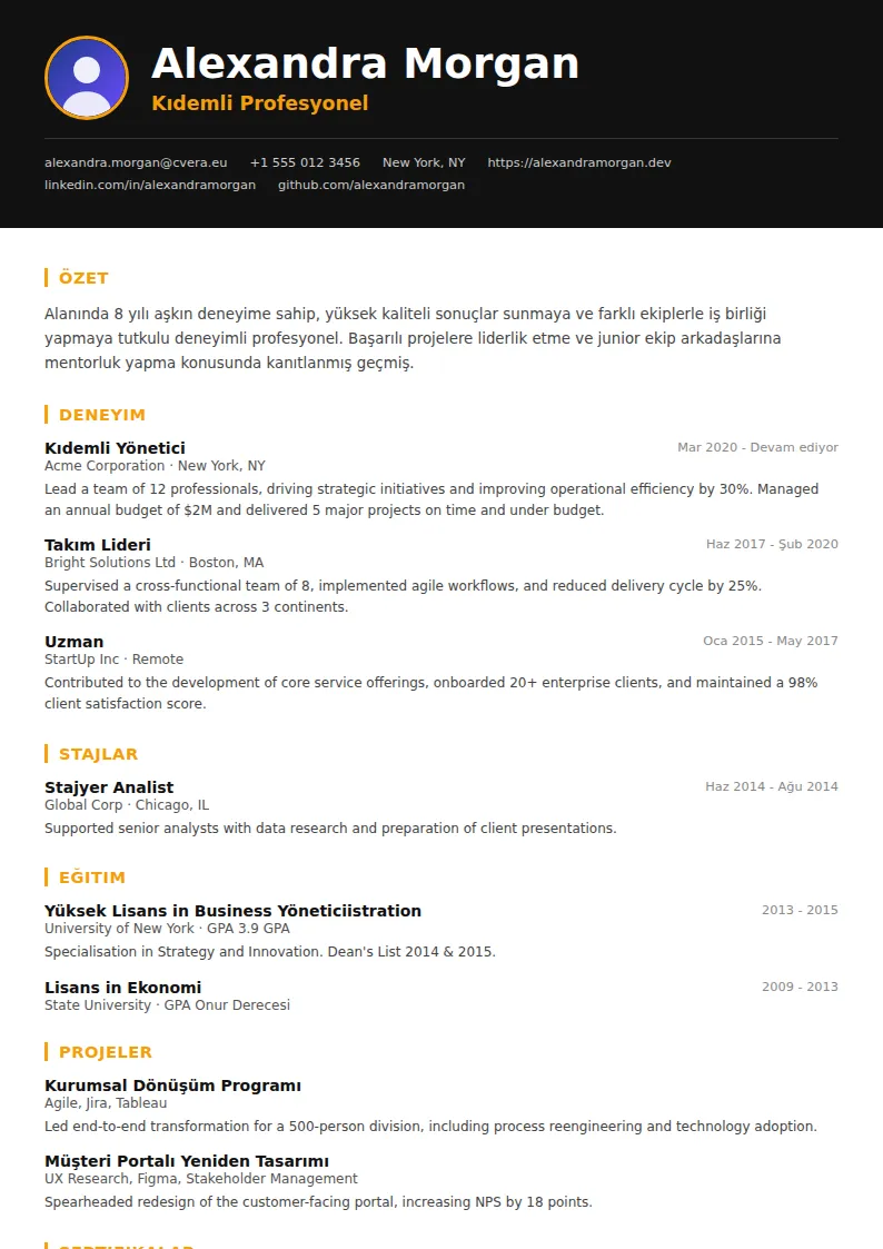 Bold CV Şablonu