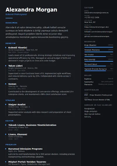Carbon CV Şablonu