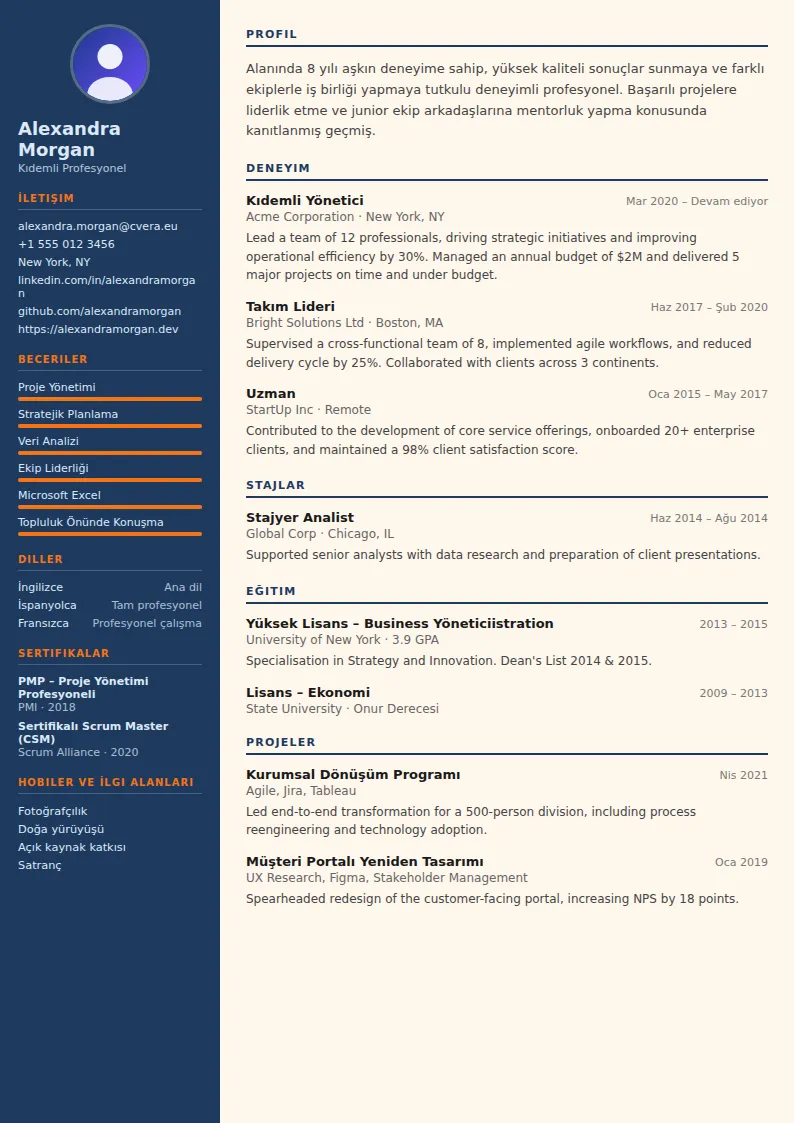 Civil Engineer CV Şablonu
