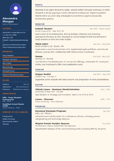 Civil Engineer CV Şablonu