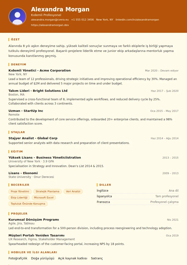 Construction CV Şablonu