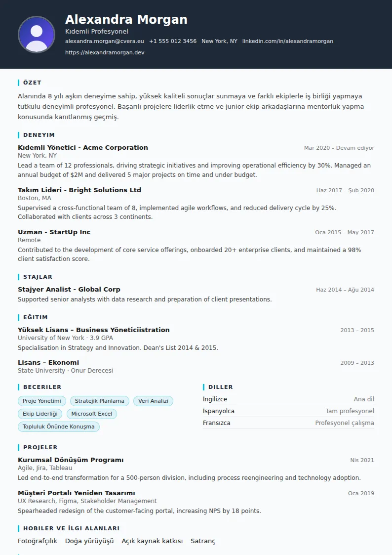 Consultant CV Şablonu