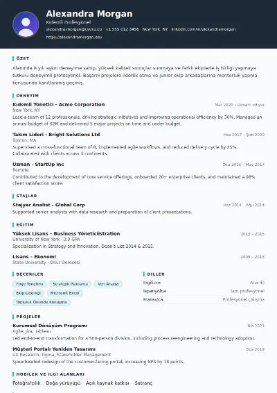 Consultant CV Şablonu
