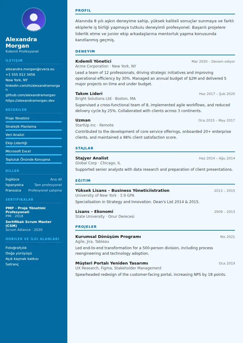 Dentist CV Şablonu