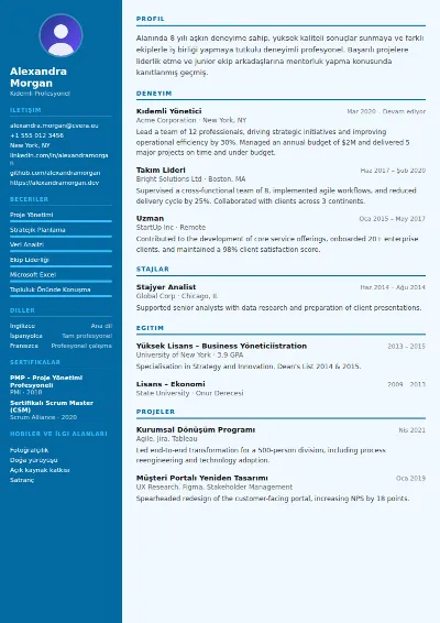Dentist CV Şablonu