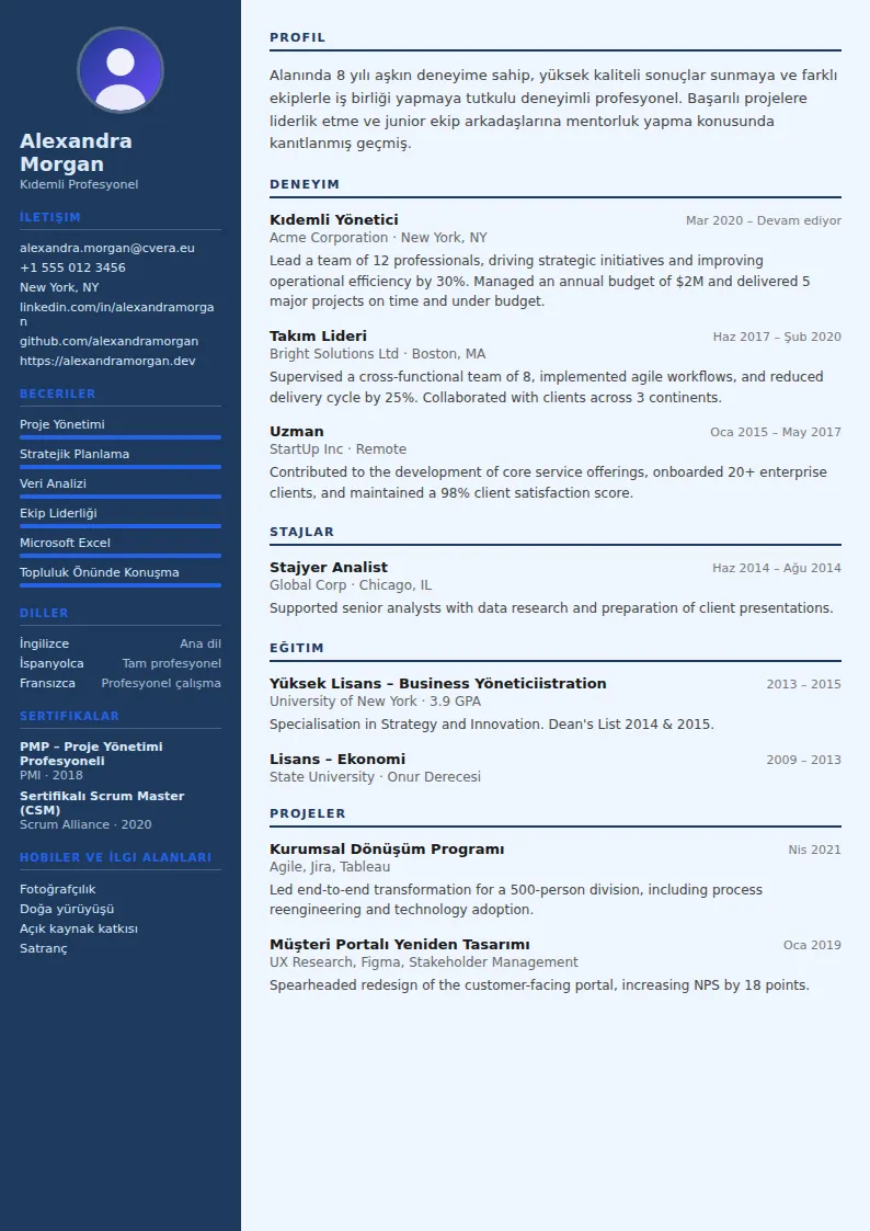 Economist CV Şablonu