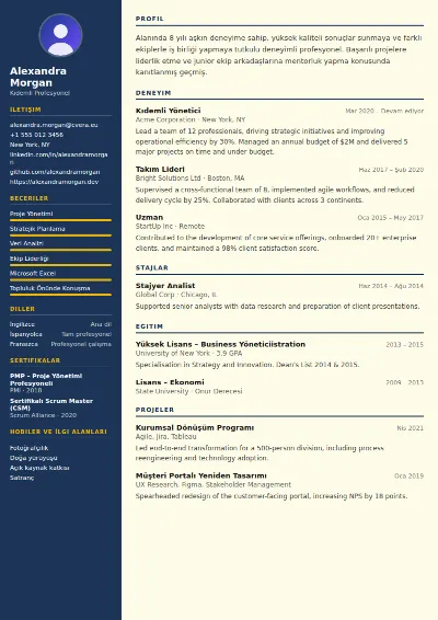 Electrician CV Şablonu