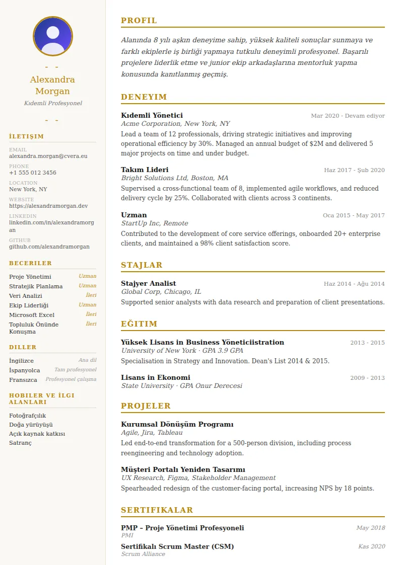 Elegant CV Şablonu