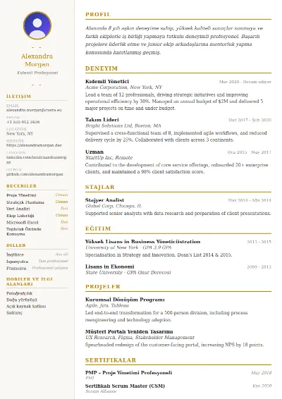 Elegant CV Şablonu