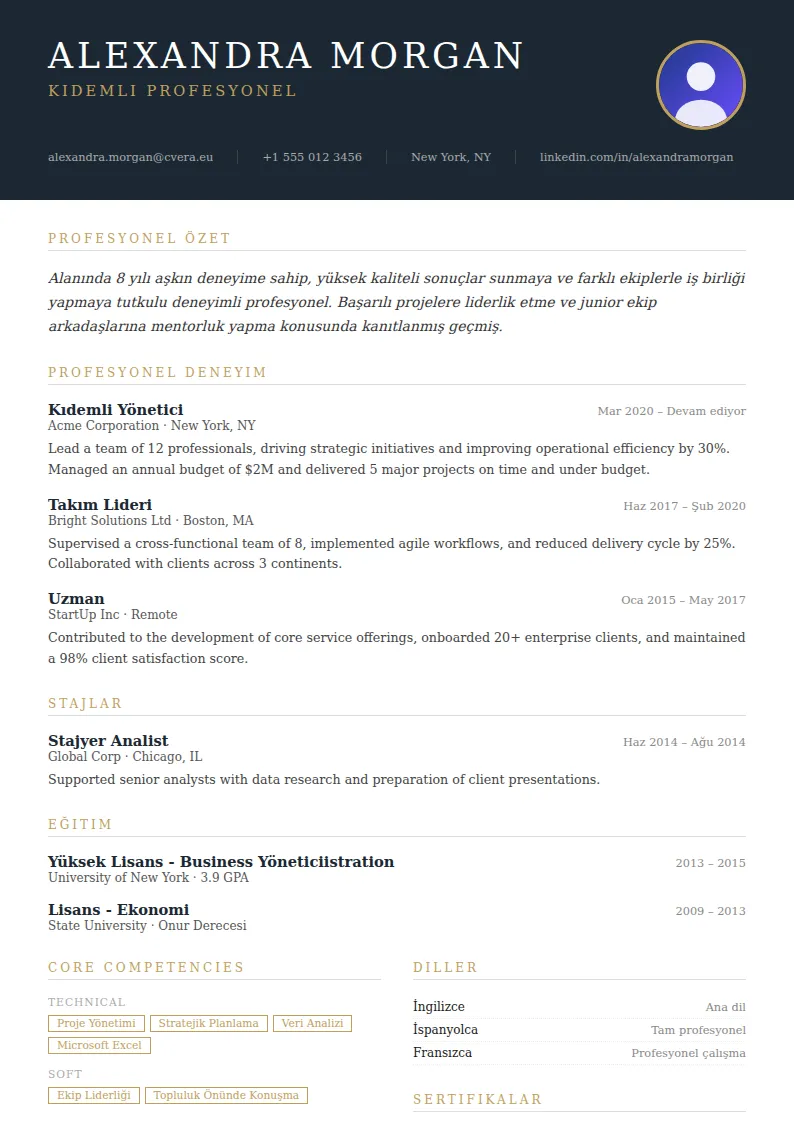 Executive CV Şablonu