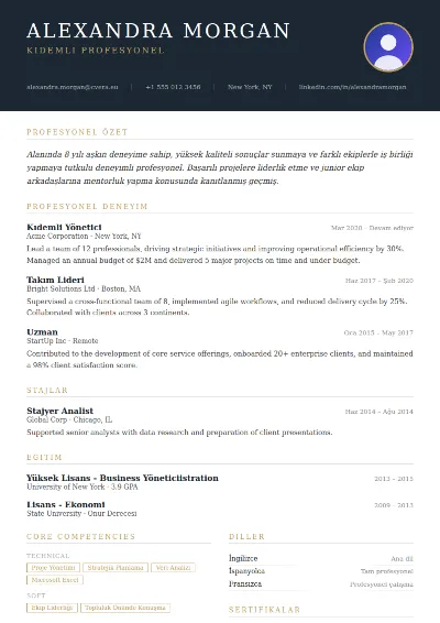 Executive CV Şablonu