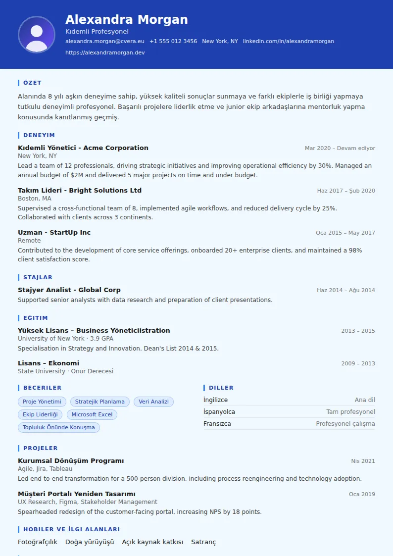 Financial Analyst CV Şablonu